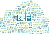 首个“团播”标准发布 标准量化与落地执行成为舆论关注焦点