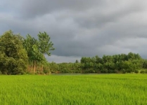 测试页面框架信息测试页面框架信息测试页面框架信息测试页面框架信息测试页面框架信息测试页面框架信息测试页面框架信息测试页面框架信息